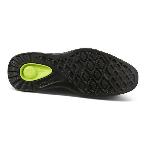 ECCO ST.1 Hybrid Lite Wingtip Brogue Shoes ECCO ST.1 Hybrid Lite Wingtip Brogue Shoes